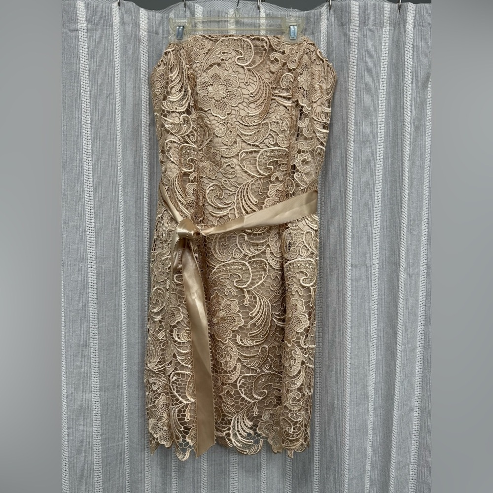 Adrianna Papell Strapless Embroidered Lace Cocktail Dress Gold Beige Size‎ 6 EUC - Picture 4 of 15